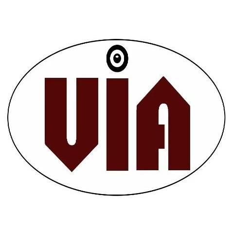 视觉智能研究会